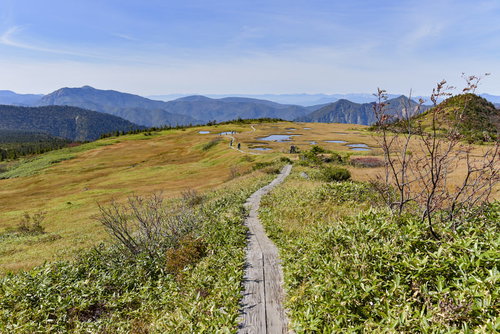 苗場山の坪平方面、木道が延びる湿原と山々の稜線
