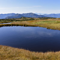 苗場山山頂の巨大な池塘と湿原、ワタスゲが群生する日本百名山の絶景の写真