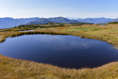 苗場山山頂の巨大な池塘と湿原、ワタスゲが群生する日本百名山の絶景