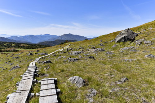 苗場山山頂の草と岩だけが残された高層湿原を通る木道
