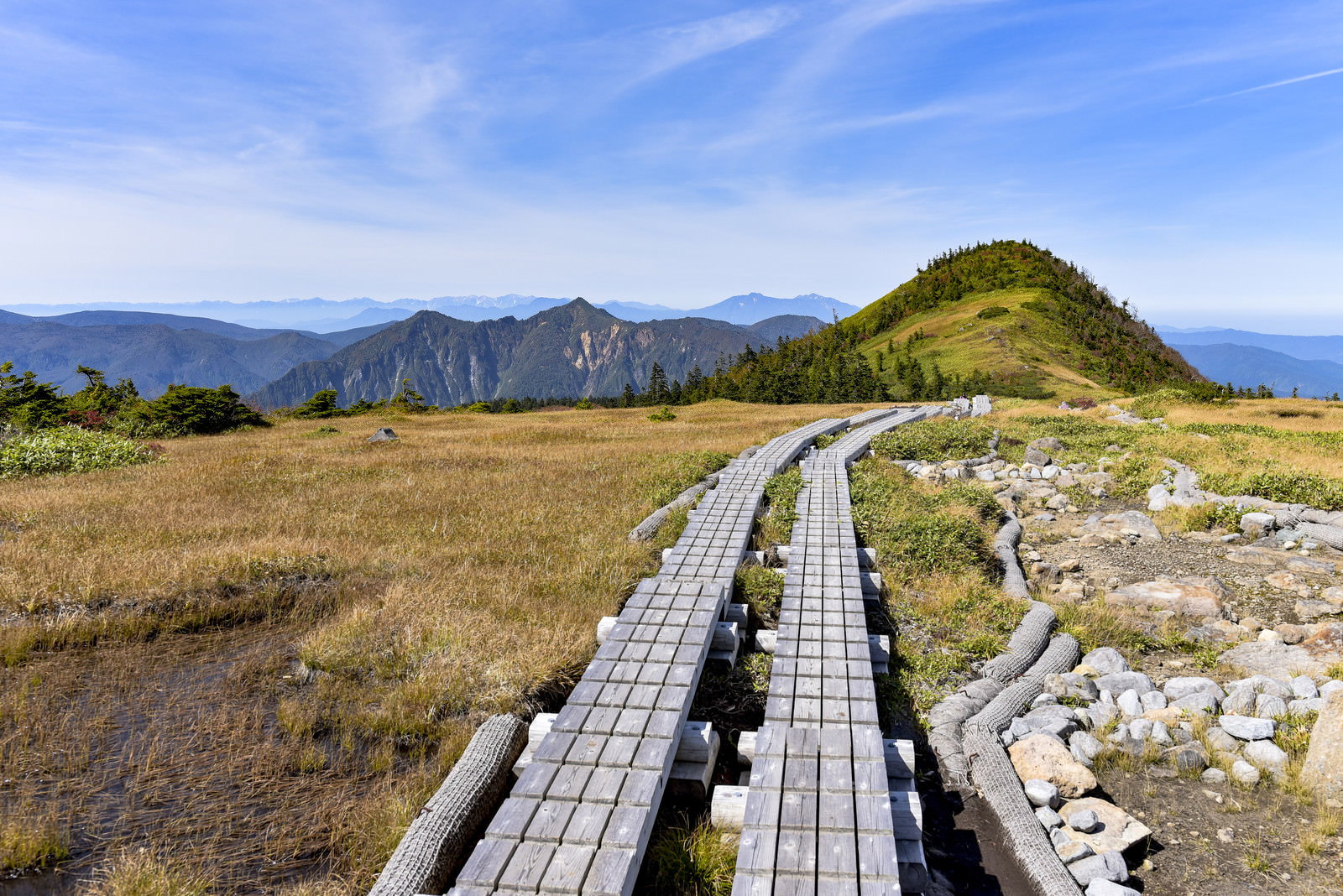 苗場山檜ノ塔へ続く湿原の木道と青空の景色