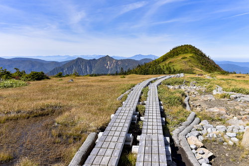 苗場山の檜ノ塔へと向かう湿原の木道と青空