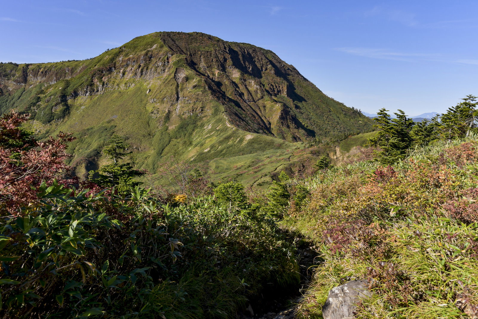 秋の紅葉に囲まれた登山道の先に見える苗場山の風景