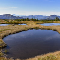 顔のような形をした苗場山の池塘の写真