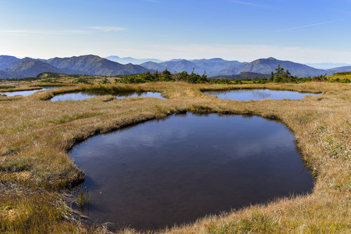 顔のような形をした苗場山の池塘