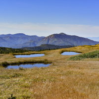 顔のような池塘が点在する苗場山の山頂湿原の写真