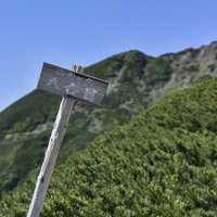仙丈ヶ岳8合目の白い指導標と登山道、方向案内看板の写真