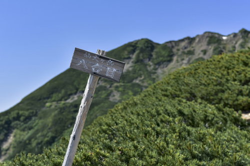 仙丈ヶ岳8合目の白い指導標と登山道、方向案内看板