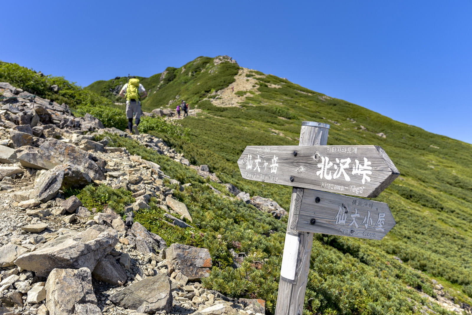 青空の下、緑の山肌を背景に立つ仙丈ヶ岳への白い指導標と石の登山道
