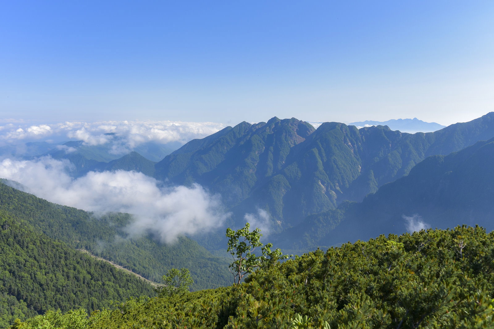 南アルプス仙丈ヶ岳から望む鋸岳方面の山々と雲海の風景