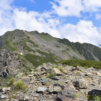 大仙丈岳からみる仙丈ヶ岳と登山道｜南アルプスの景観の写真