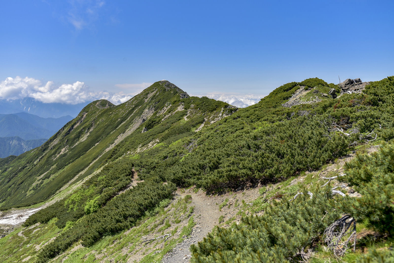 仙丈ヶ岳から大仙丈岳へ続く緑の稜線上の登山道と青空