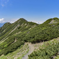 仙丈ヶ岳から大仙丈岳方面へと続く登山道と南アルプスの稜線の写真