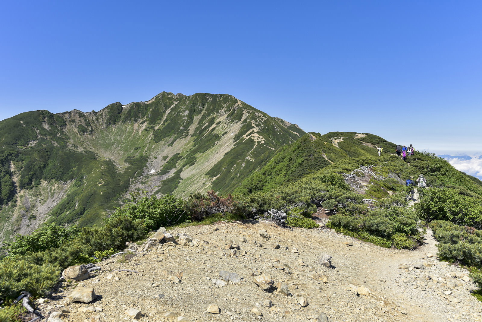 青空の下、小仙丈ヶ岳から仙丈ヶ岳へ続く稜線の登山道