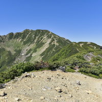 小仙丈ヶ岳から仙丈ヶ岳へと向かう日本百名山の登山道の写真