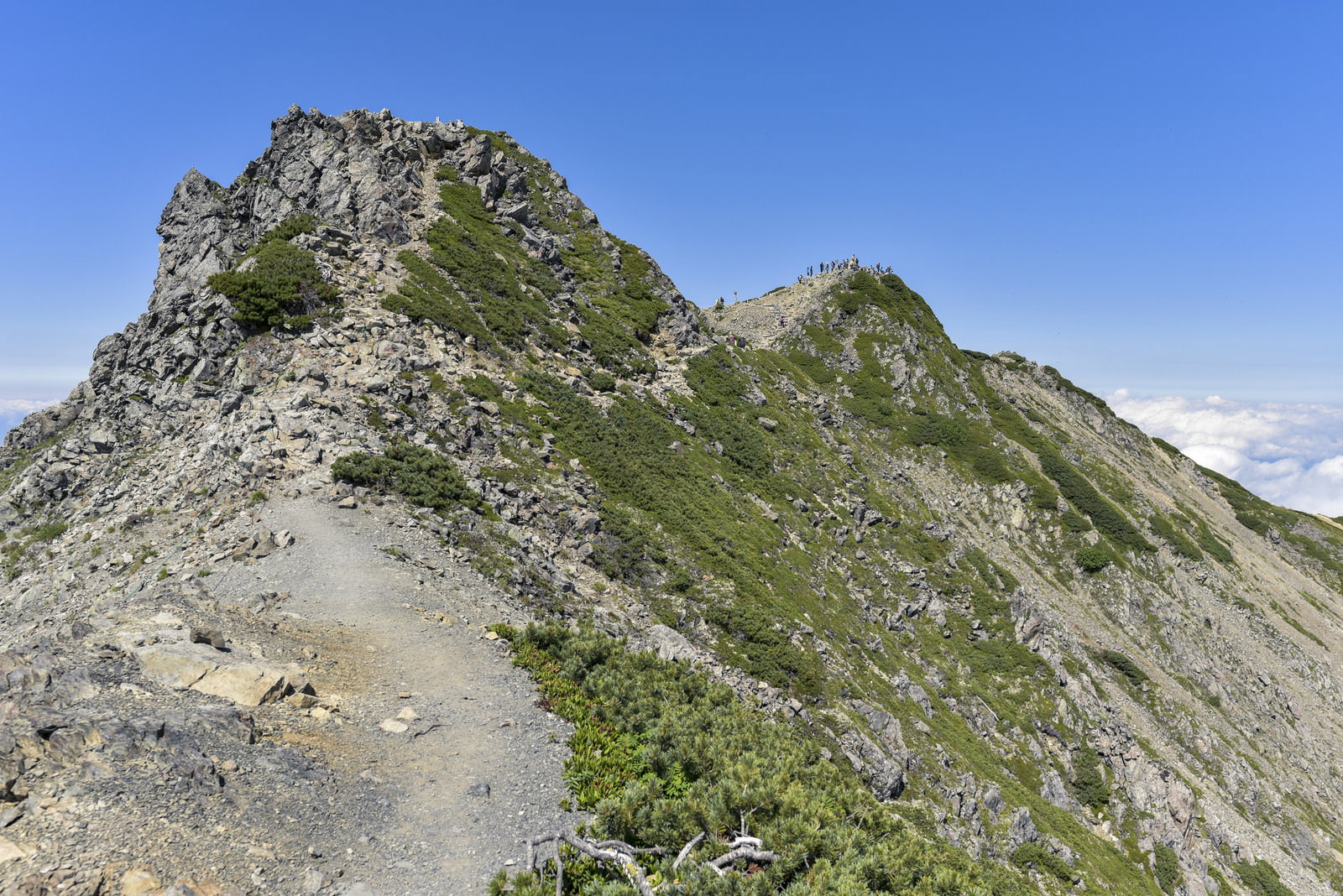 仙丈ヶ岳の稜線を通る登山道、岩場とハイマツが広がる山岳風景