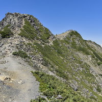 岩とハイマツが広がる仙丈ヶ岳の稜線の登山道の写真