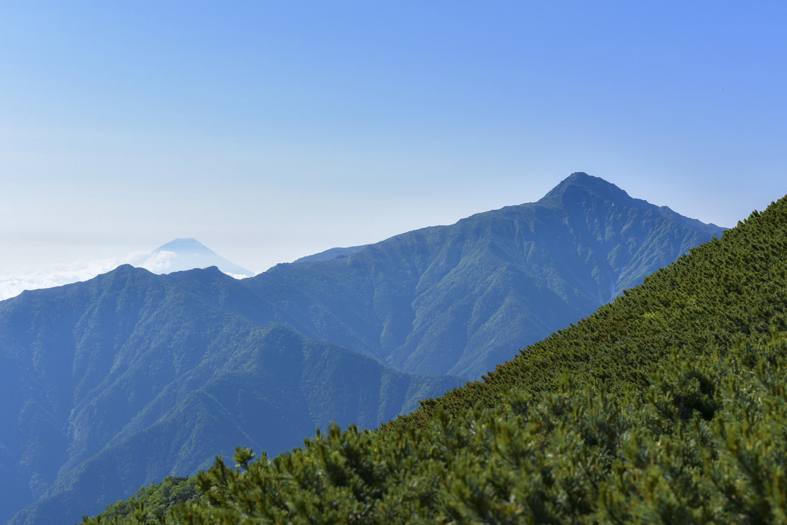 仙丈ヶ岳から見た山々の風景、青空と緑の森林、遠くに富士山