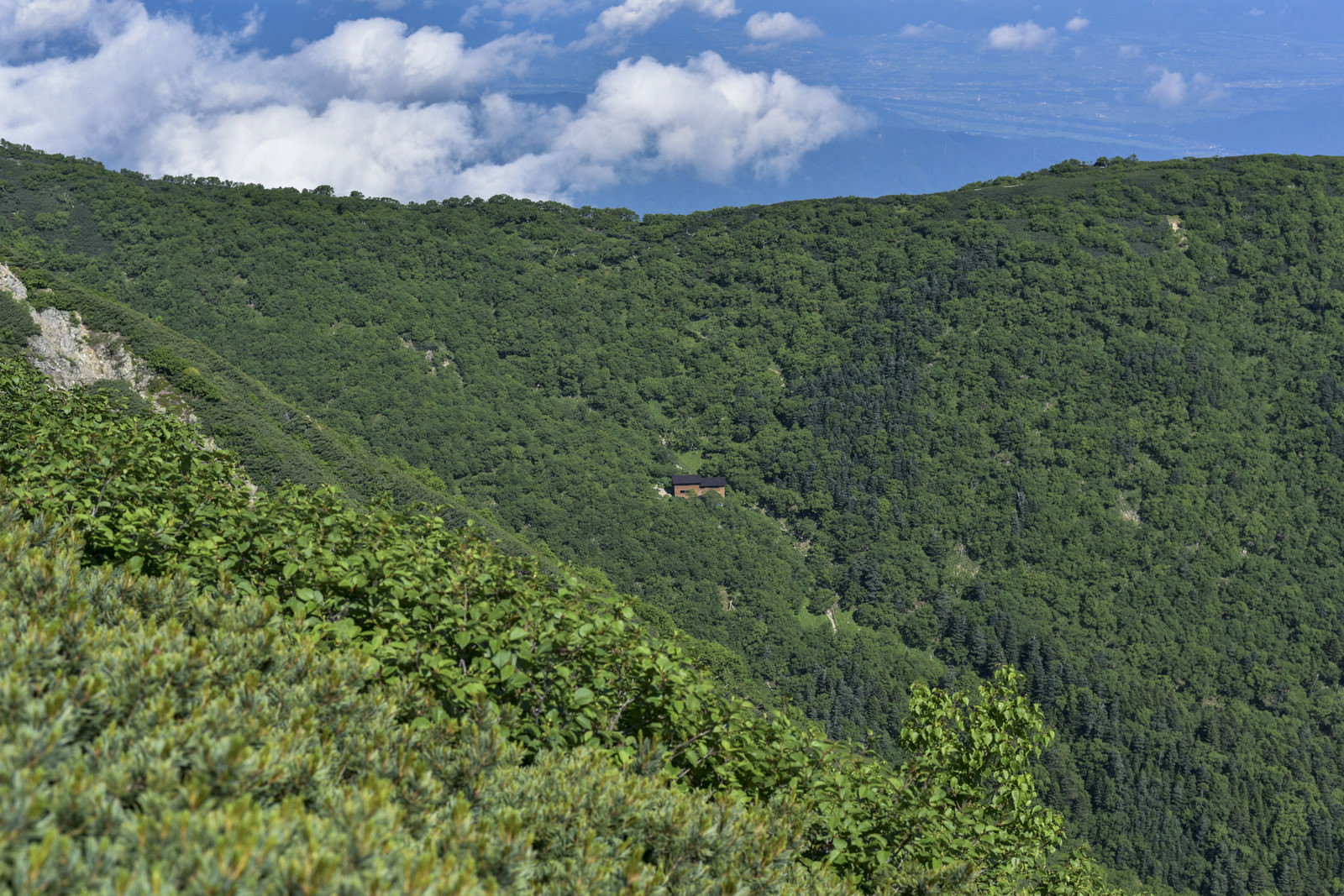 仙丈ヶ岳の森の中に建つ山小屋