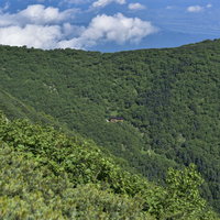 森の中の山小屋（仙丈ヶ岳）の写真