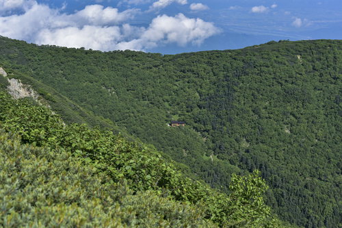 森の中の山小屋（仙丈ヶ岳）