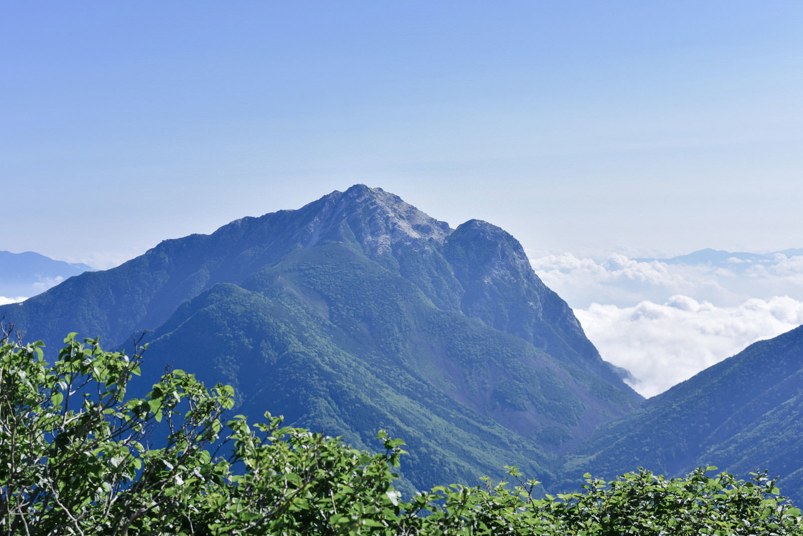 青空の下、緑の樹木越しに見える甲斐駒ヶ岳と仙丈ヶ岳の山々
