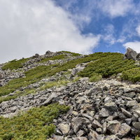 石とハイマツだけが広がる日本百名山・仙丈ヶ岳の稜線の写真
