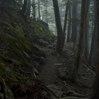 雲が広がる登山道（仙丈ヶ岳）の写真
