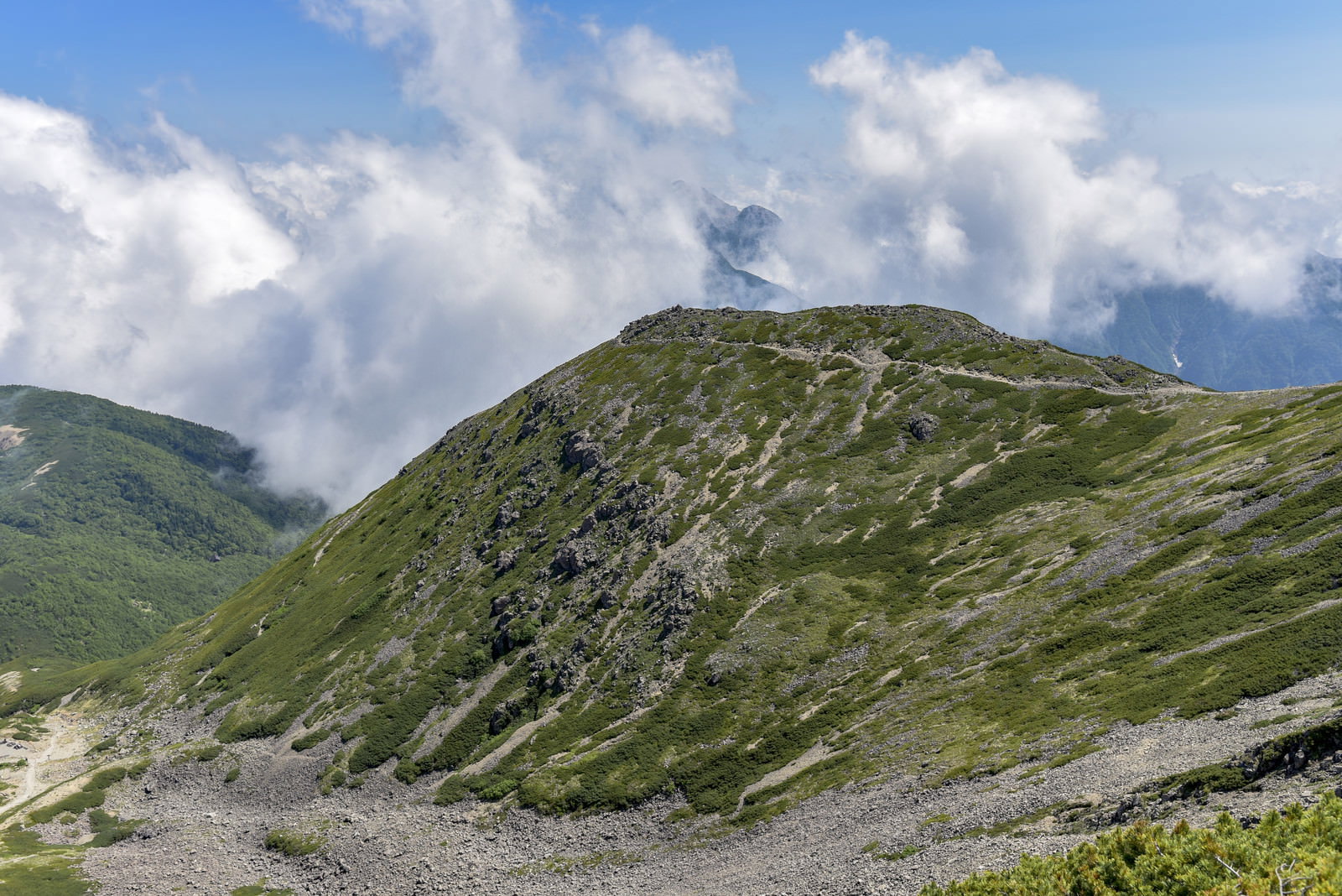 雲に包まれた仙丈ヶ岳の緑豊かな稜線と登山道が見える山岳風景