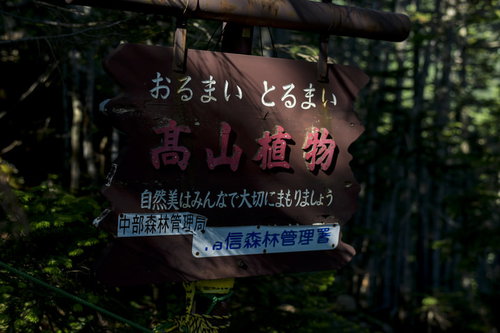 高山植物 自然美はみんなで大切にまもりましょう（仙丈ヶ岳）