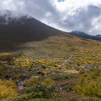 黄金色に色づく唐松紅葉と浅間山賽の河原の秋景色の写真