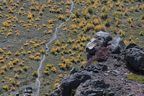 唐松の黄葉に彩られた浅間山の賽の河原