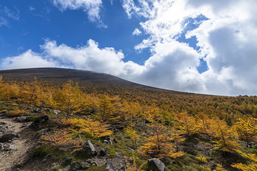賽の河原から見る浅間山本体と活火山の景観