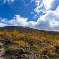 青空と白い雲の下で紅葉に色づく浅間山本体の写真
