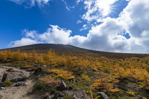 青空と白い雲の下で紅葉に色づく浅間山本体