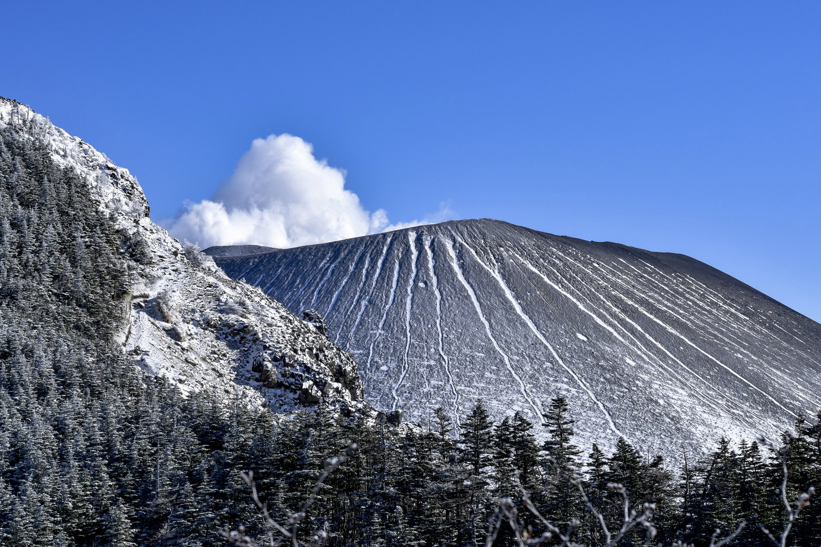 鞘ヶ峰から望む雪化粧した浅間山と青空、手前に雪をかぶった針葉樹林