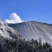鞘ヶ峰から見える雪化粧した浅間山と針葉樹林の写真