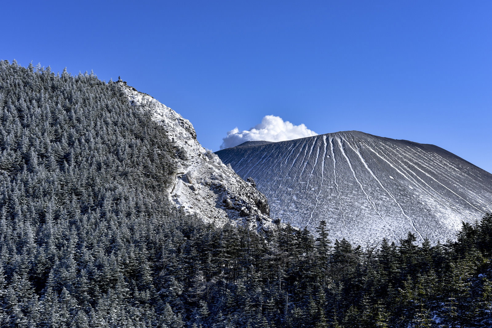 雪化粧した針葉樹林の向こうに見える浅間山と黒斑山への稜線