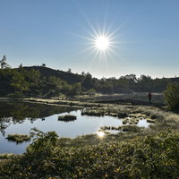 朝日を浴びる弓池（草津白根山）の写真