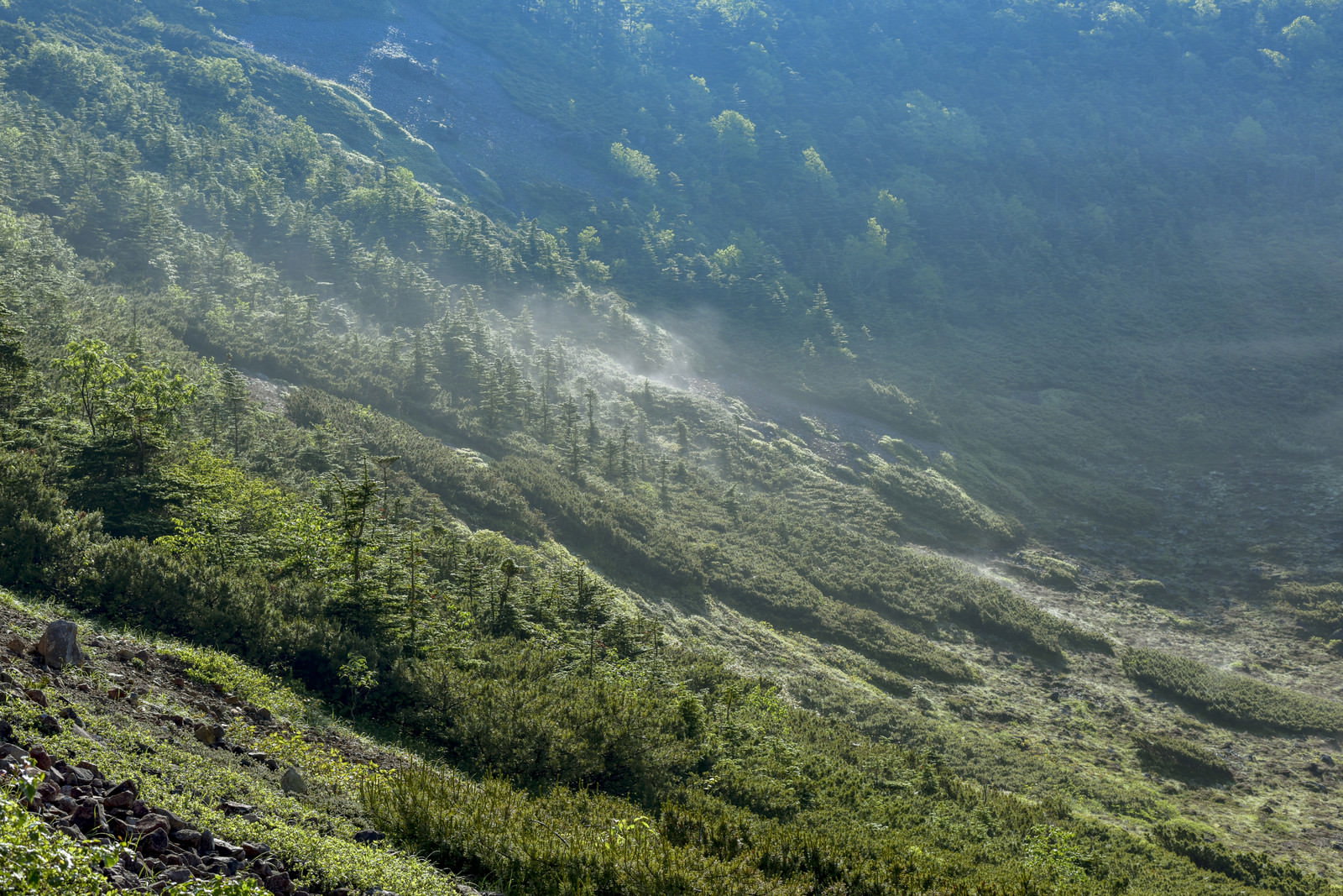 草津白根山の本白根山で火口に白い霧が立ち込める様子