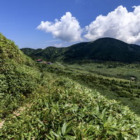 南竜ヶ馬場から望む白山連峰の景色と笹原の高原風景の写真