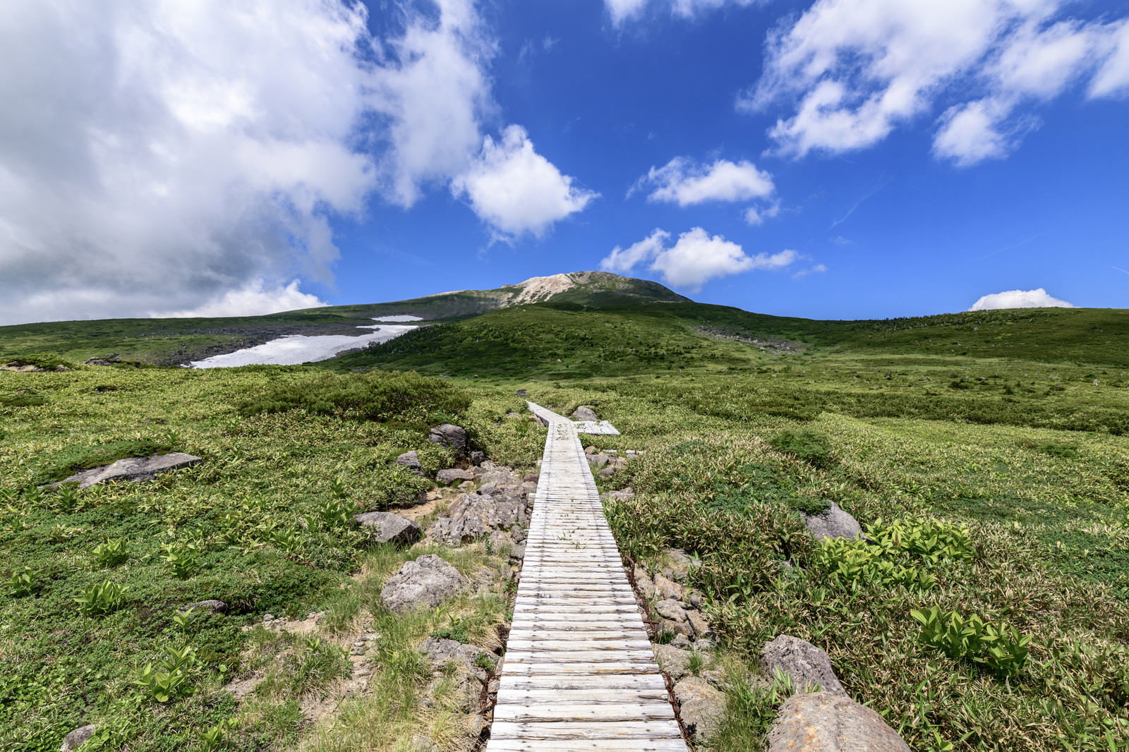弥陀ヶ原の湿原を通る木道と白山山頂への景色