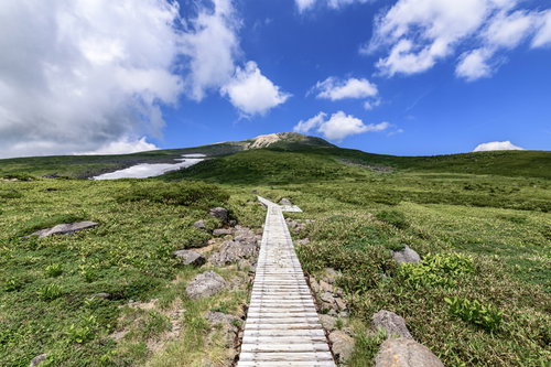木道が一直線に続く弥陀ヶ原と白山山頂方面