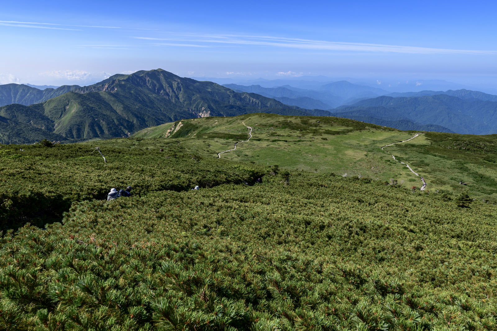 白山室堂から弥陀ヶ原へ続く登山道と緑の草原、遠方の山々
