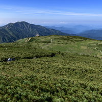 白山室堂から弥陀ヶ原方面へと下る登山道と緑の草原の写真