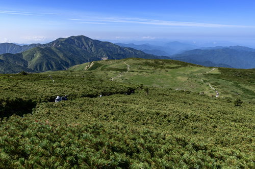 白山室堂から弥陀ヶ原方面へと下る登山道と緑の草原