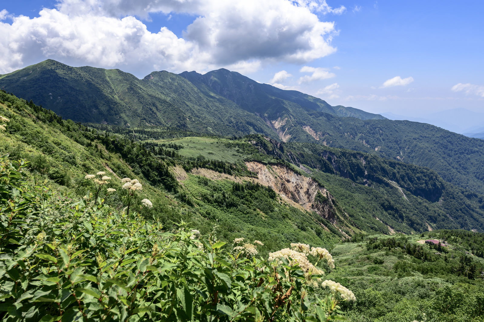 盛夏の白山登山道から眺める別山の山岳風景