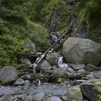 鳳凰三山のドンドコ沢を流れる苔むした渓流の写真
