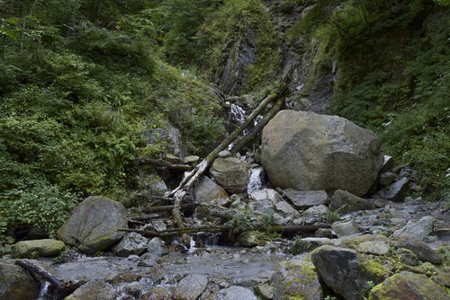 鳳凰三山のドンドコ沢を流れる苔むした渓流