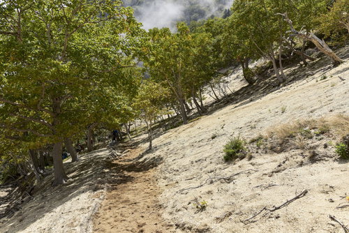 鳳凰三山の白い砂地が広がる稜線と緑の樹木